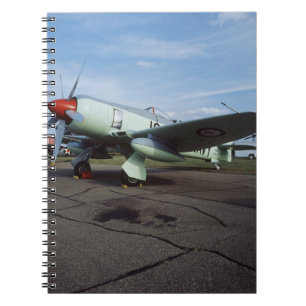 Carnet Hawker Sea Fury au CAF, Minnesota Wing, au 2