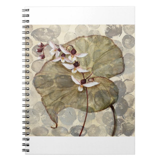 Carnet HAZ24 Amazonie 2.tif (Devant)