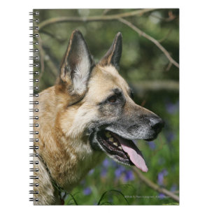 Carnet Headshot 3 de berger allemand
