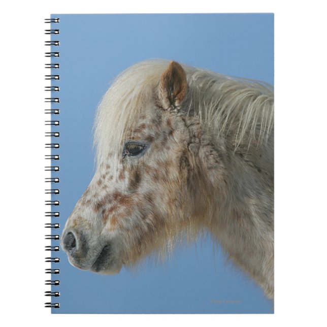 Carnet Headshot miniature de cheval (Devant)