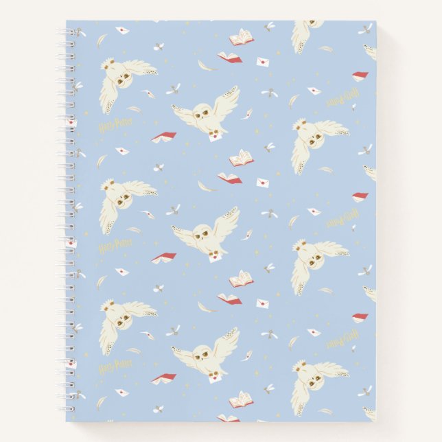 Carnet Hedwig Owl Post Letters and Books Pattern (Devant)