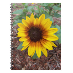 Carnet Helianthus Annuus sur un