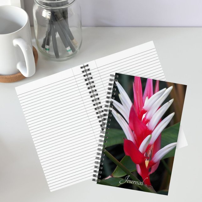 Carnet Héliconia floral rouge et blanc (In Situ)