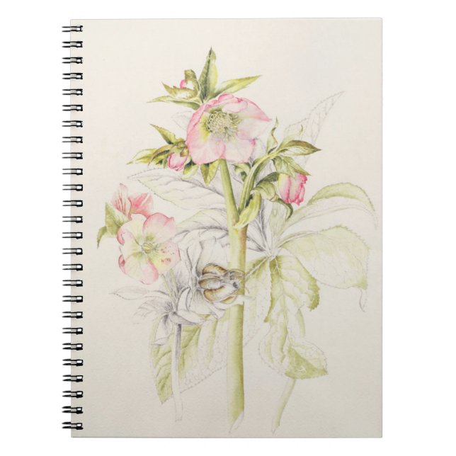 Carnet Hellebores (Devant)