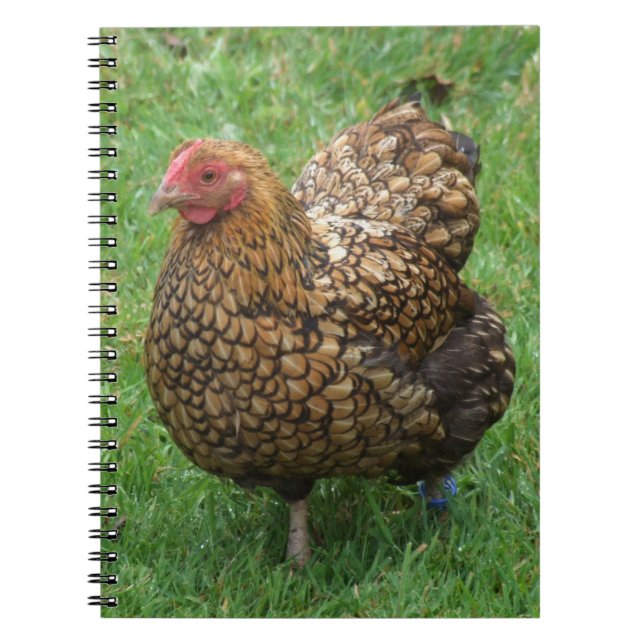 Carnet Hen (Devant)
