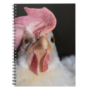 Carnet Hen