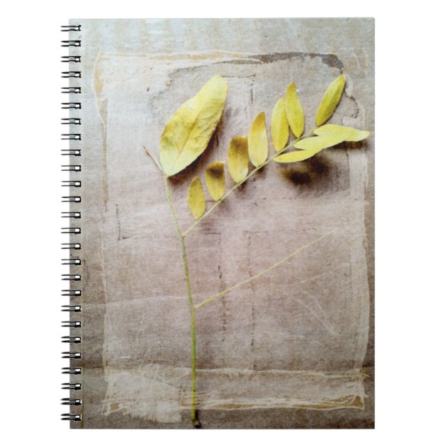 Carnet Herbarium V (Devant)
