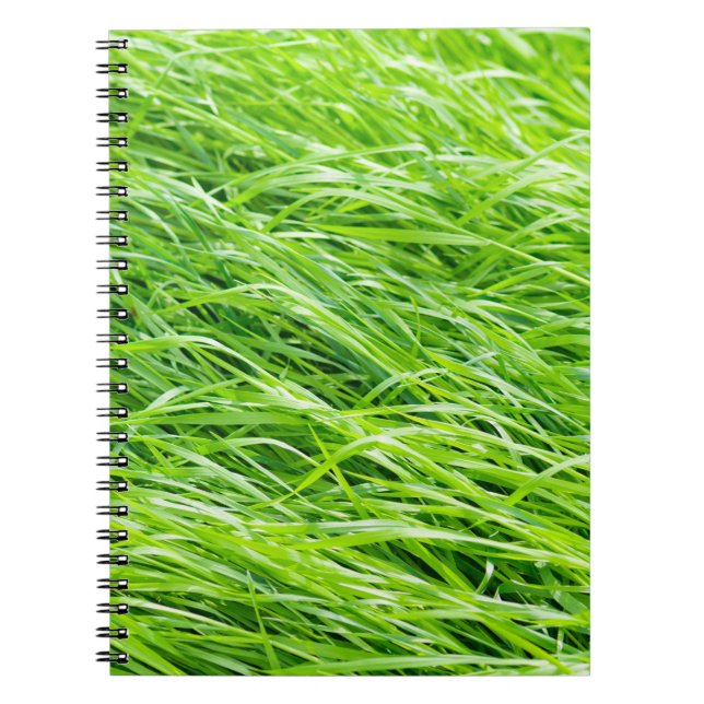 Carnet Herbe (Devant)