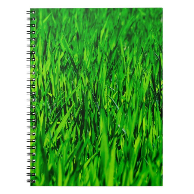 Carnet Herbe champ prairie croissance de pelouse (Devant)