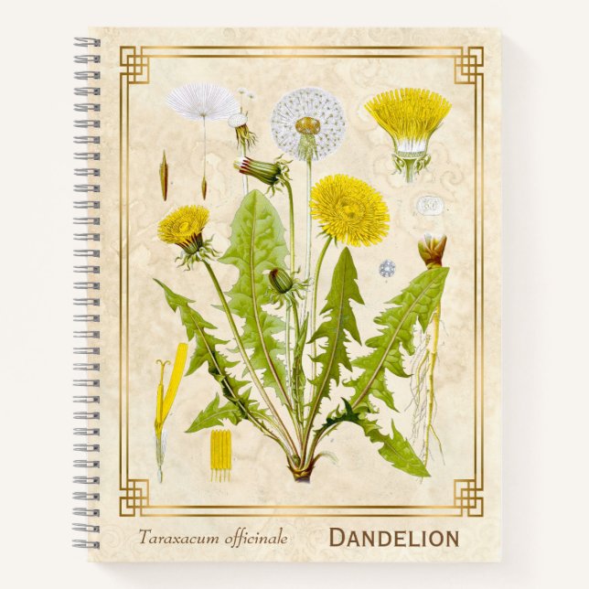 Carnet Herbe médicinale vintage Dandelion Fleur Botanique (Devant)