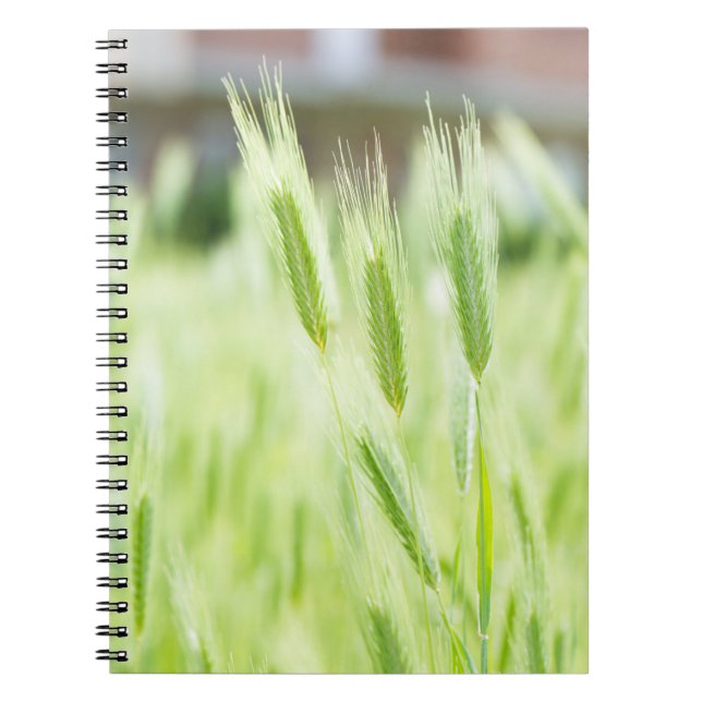 Carnet Herbe verte (Devant)