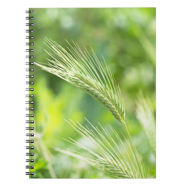 Carnet Herbe verte (Devant)