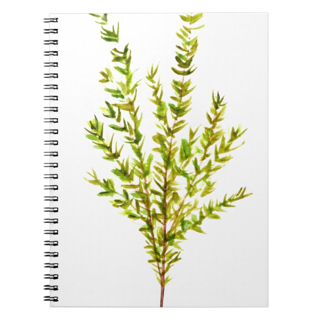 Carnet Herbes de thym Herbes botaniques (Devant)