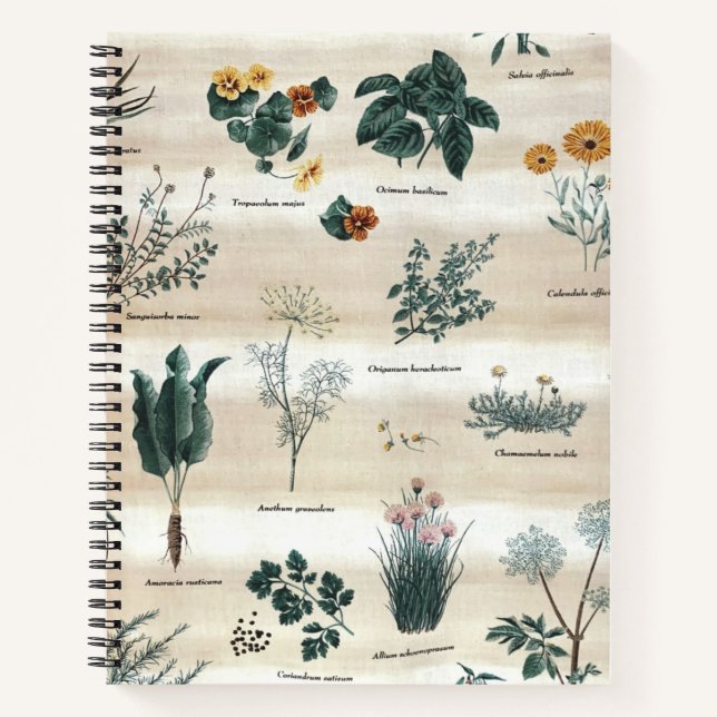 Carnet Herbes Fleurs Plantes (Devant)