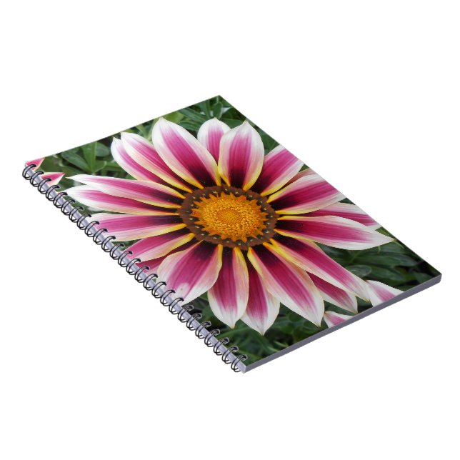 Carnet Hereford (Côté Droit)