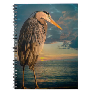 Carnet Héron de grand bleu et coucher du soleil bleu