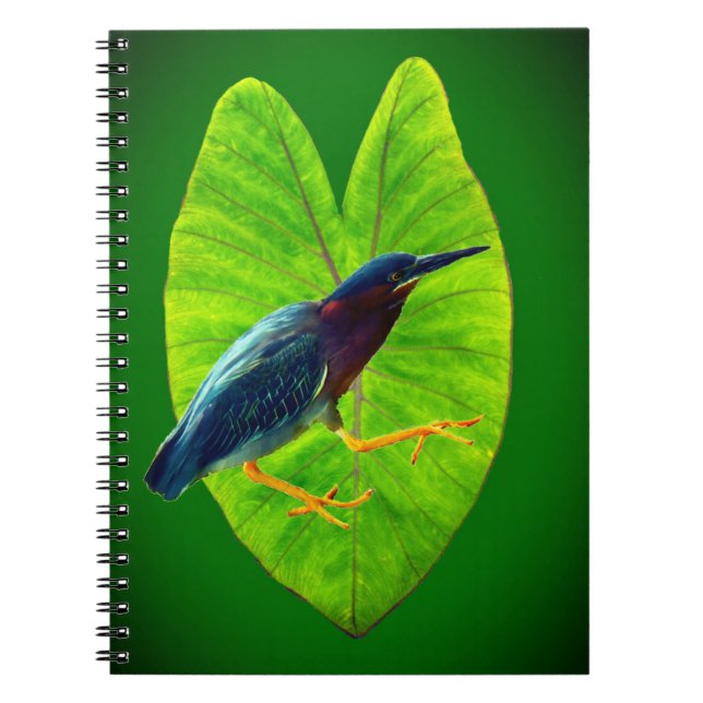 Carnet héron vert (Devant)