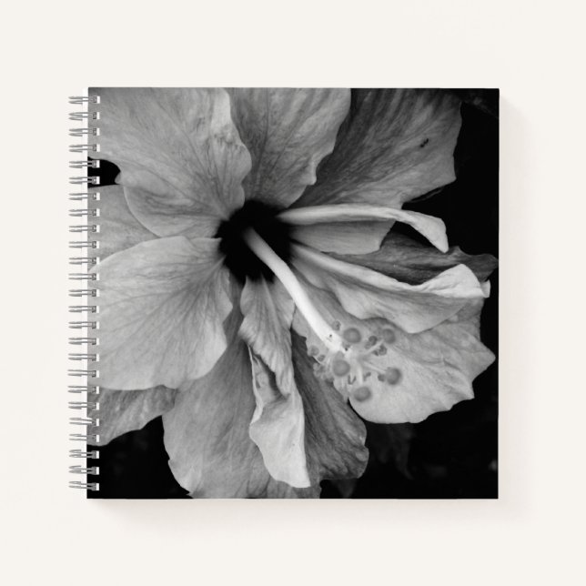 Carnet Hibiscus  (Devant)