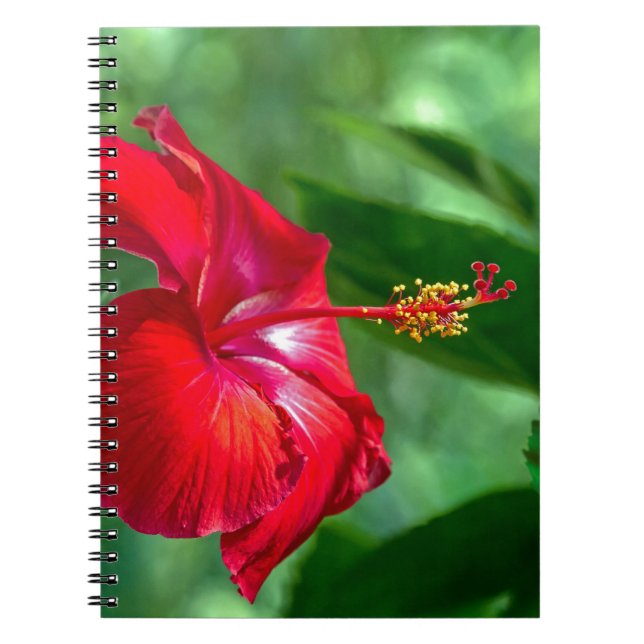 Carnet Hibiscus Blossom (Devant)