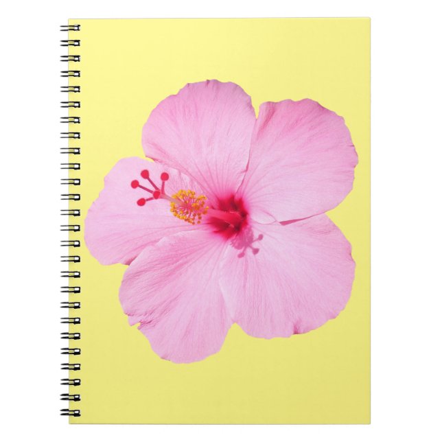 Carnet Hibiscus rose Fleur tropicale (Devant)