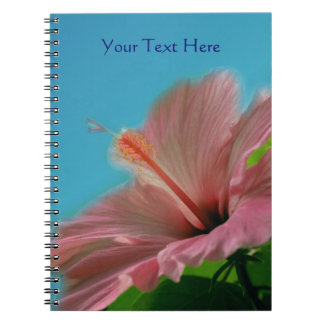 Carnet Hibiscus rose nature