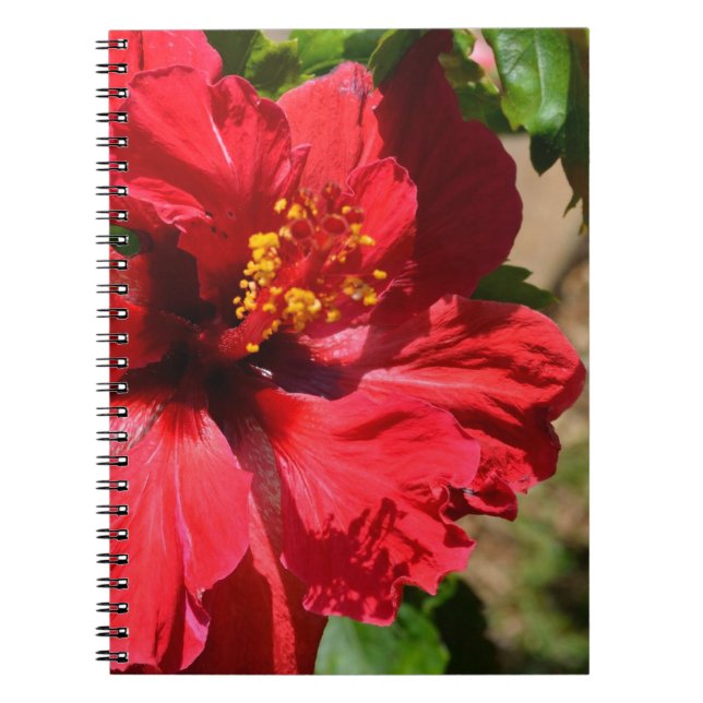 Carnet Hibiscus rouge (Devant)