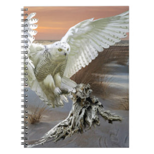 Carnet Hibou de Milou