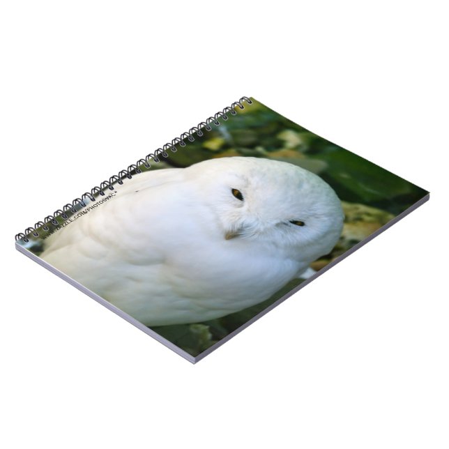 Carnet Hibou des neiges (Côté gauche)
