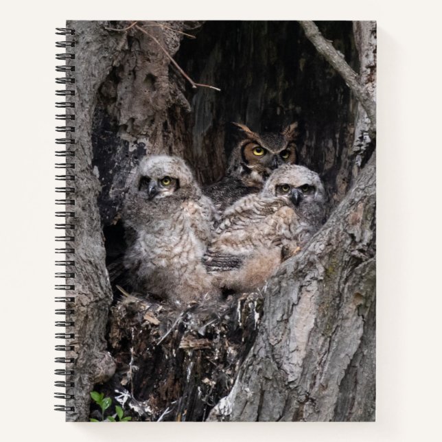 Carnet Hibou et owley (Devant)