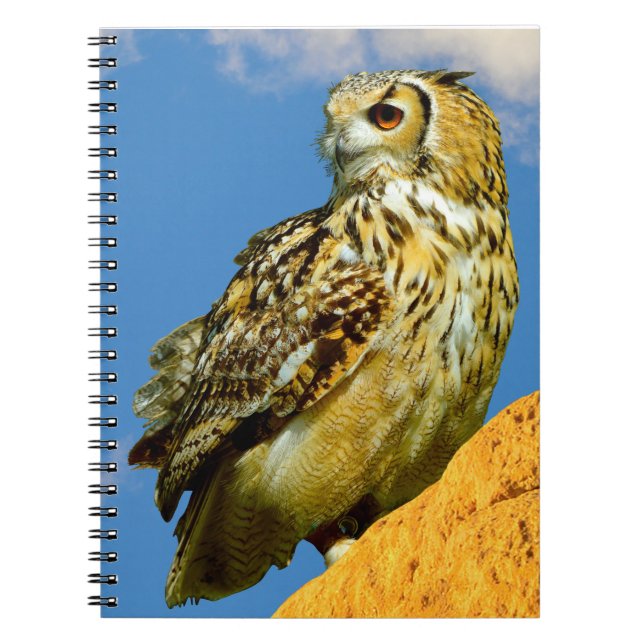 Carnet Hibou grand-duc (Devant)