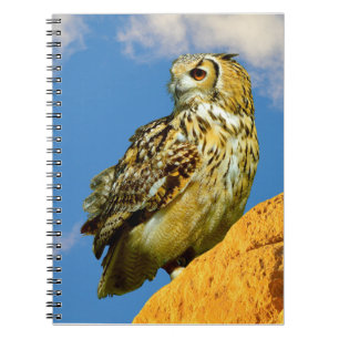 Carnet Hibou grand-duc eurasien