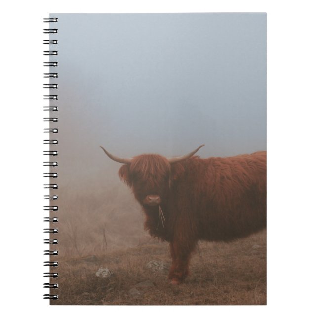 CARNET HIGHLAND CATTTTLE VW (Devant)