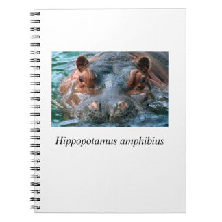 Carnet Hippo#1