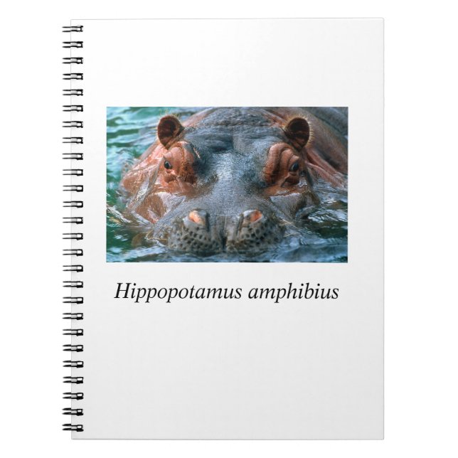 Carnet Hippo#1 (Devant)