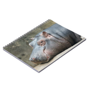 Carnet Hippopotame