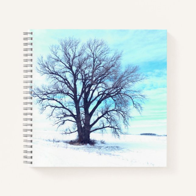Carnet Hiver bleu (Devant)