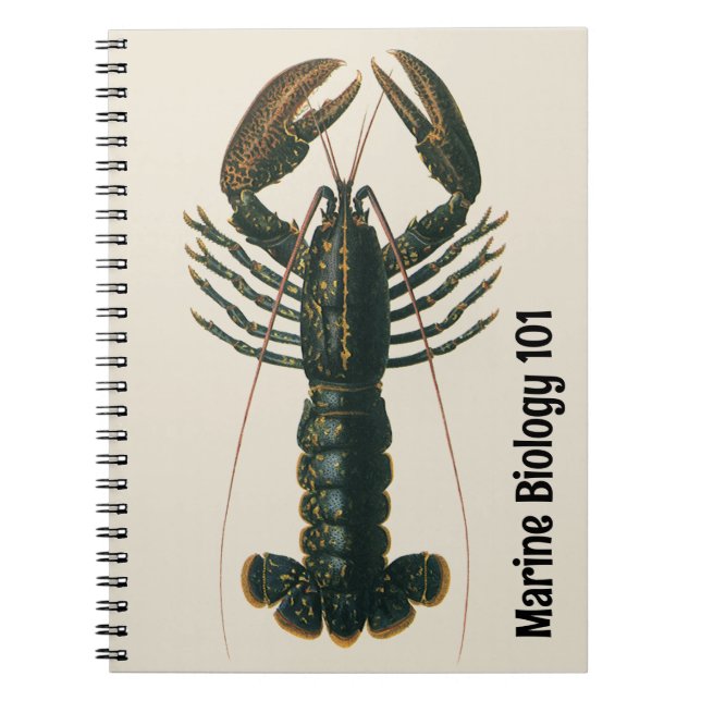 Carnet Homard vintage, Marine Ocean Life Crustacean (Devant)