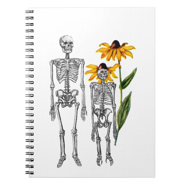 Carnet Homme drôle Chimpanzé Squelette Noir Eyed Susan (Devant)