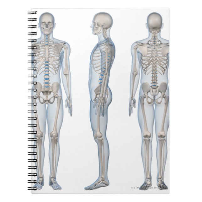 Carnet Homme Skeleton 2 (Devant)