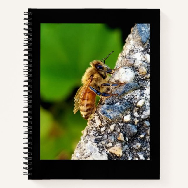 Carnet Honeybee 8,5x11 (Devant)