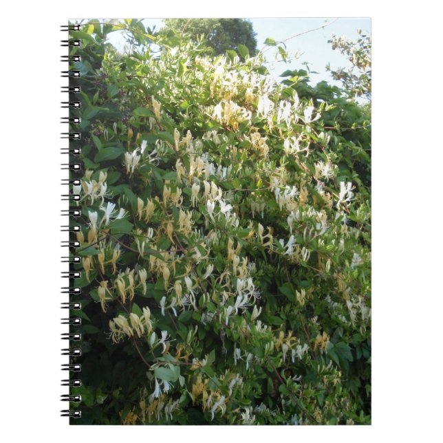 Carnet Honeysuckle On A Wall (Devant)