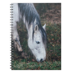 CARNET HORSE GRIS LE JOUR DE L’AUTOMNE