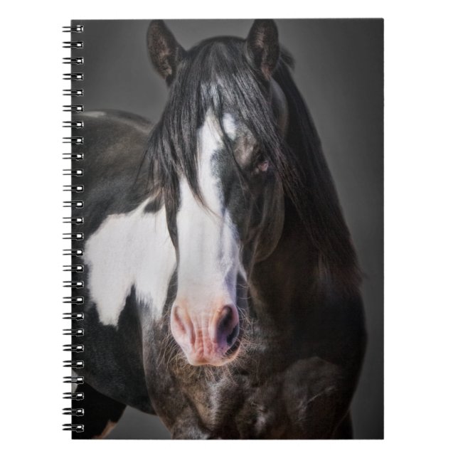 Carnet Horse Portrait II (Devant)