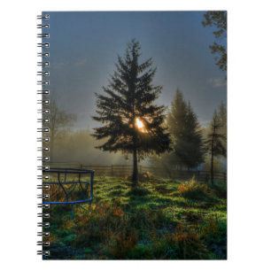 Carnet Horse Ranch Sunrise Nature Photo