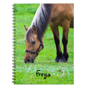 Carnet Horse Spiral notebook