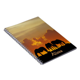 Carnet Horses Silhouette against Sunset Landscape