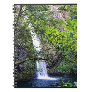 Carnet Horsetail Falls, Oregon