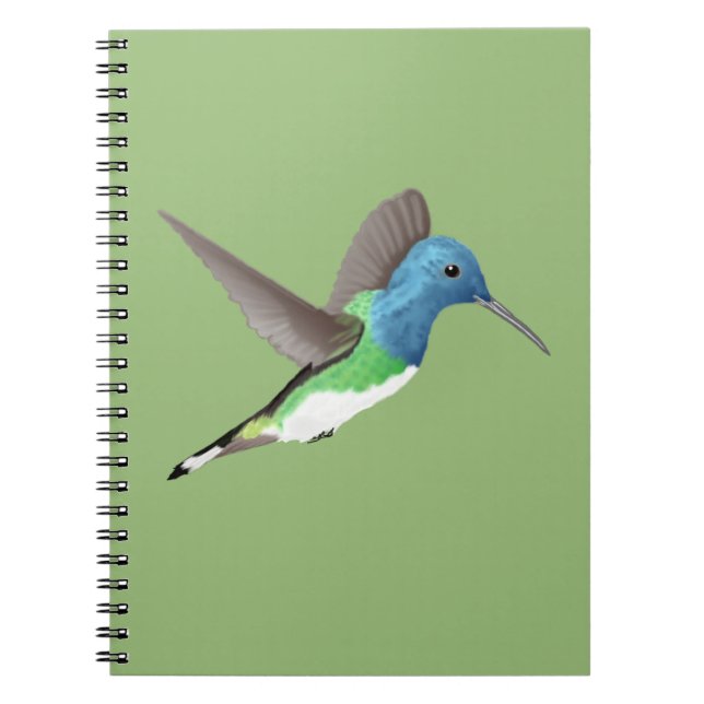 Carnet Hovering Jacobin Hummingbird - transparent. (Devant)