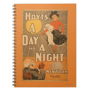 Carnet Hoyt's A day and a night in New York City Play