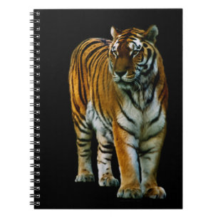 Carnet Hu Lin